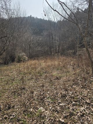 김대기님의 기타작물 · 영농일지 작성글 사진