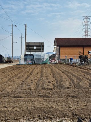 박순례님의 감자 · 영농일지 작성글 사진