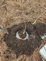 팜모닝 기타작물·영농일지 게시글 이미지