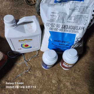 김성훈님의 기타작물 · 영농일지 작성글 사진