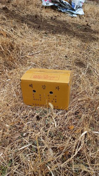 초보 구찌뽕님의 감자 · 영농일지 작성글 사진