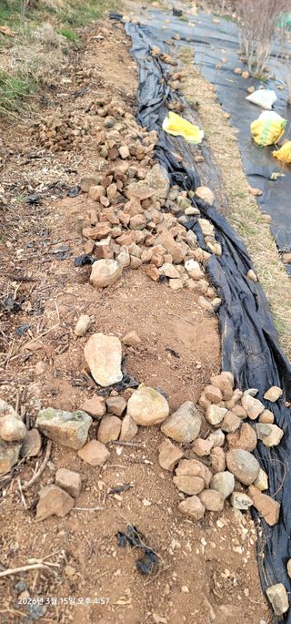 박종화님의 기타작물 · 영농일지 작성글 사진