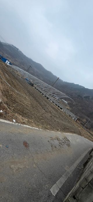 강연수님의 벼 · 영농일지 작성글 사진