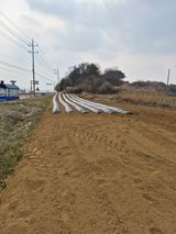 팜모닝 감자·영농일지 게시글 이미지