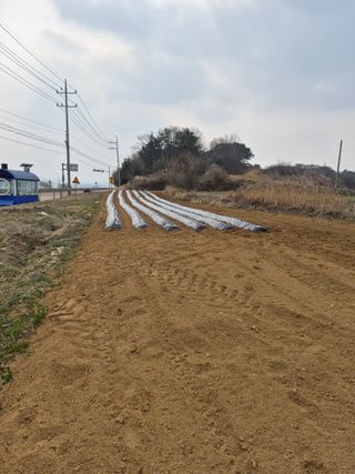 김종헌님의 감자 · 영농일지 작성글 사진