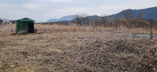 김제선:양평읍회현리님의 기타작물 · 영농일지 작성글 사진