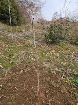 황종현님의 작성글 사진