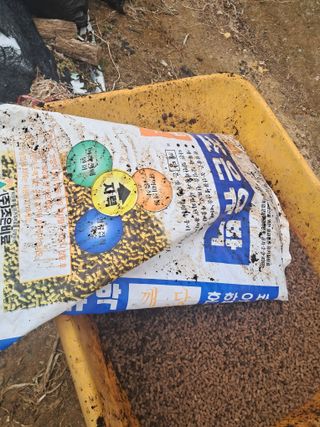 노재영님의 파 · 영농일지 작성글 사진