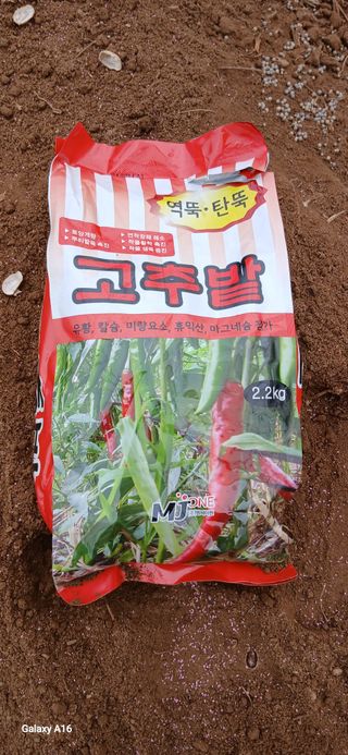이형근님의 고추 · 영농일지 작성글 사진