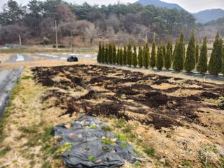 김진영님님의 고추 · 영농일지 작성글 사진