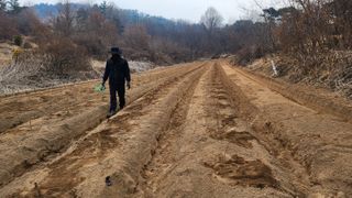 인호님의 두릅 · 영농일지 작성글 사진