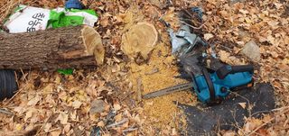 반성식님의 기타작물 · 영농일지 작성글 사진