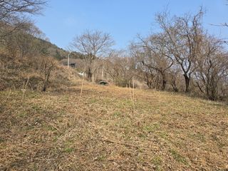 김대기님의 기타작물 · 영농일지 작성글 사진