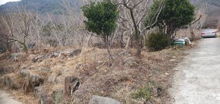 반성식님의 기타작물 · 영농일지 작성글 사진