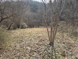 김대기님의 기타작물 · 영농일지 작성글 사진