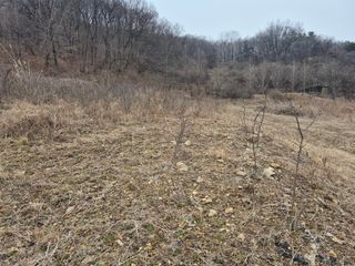 엉뚱님의 기타작물 · 영농일지 작성글 사진