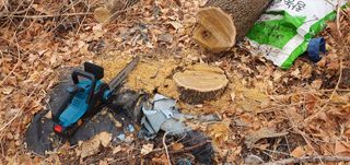 반성식님의 기타작물 · 영농일지 작성글 사진