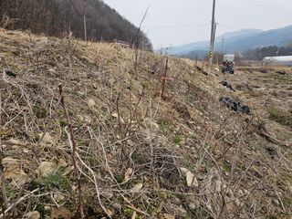 황종현님의 기타작물 · 영농일지 작성글 사진