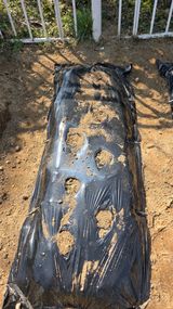 팜모닝 감자·영농일지 게시글 이미지