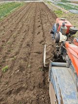 팜모닝 고추·영농일지 게시글 이미지