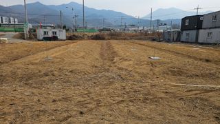 장정규님의 기타작물 · 영농일지 작성글 사진