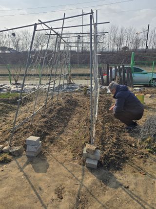 비타민님의 콩 · 영농일지 작성글 사진