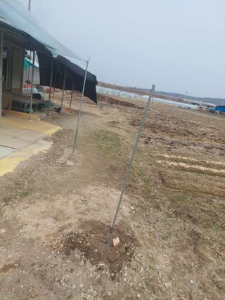 머짱이(덕도리)님의 기타작물 · 영농일지 작성글 사진