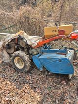 팜모닝 기타작물·영농일지 게시글 이미지