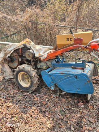 진문거사님의 기타작물 · 영농일지 작성글 사진