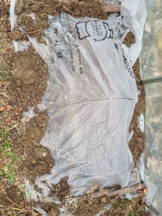 최기동님의 포도 · 영농일지 작성글 사진