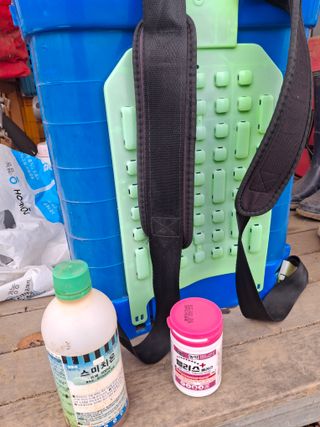 돌고개농장님의 마늘 · 영농일지 작성글 사진