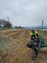 팜모닝 콩·영농일지 게시글 이미지