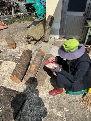 단감대봉시금치당님의 기타작물 · 영농일지 작성글 사진