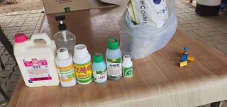 박상중님의 마늘 · 영농일지 작성글 사진