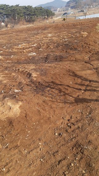 하루의행복님의 기타작물 · 영농일지 작성글 사진