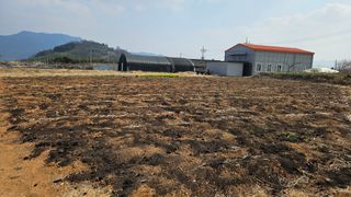 장기순님의 기타작물 · 영농일지 작성글 사진