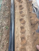 장두학님의 작성글 사진