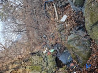 김용대님의 마늘 · 영농일지 작성글 사진