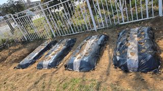 윤두현님의 감자 · 영농일지 작성글 사진