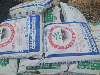 노재영님의 파 · 영농일지 작성글 사진