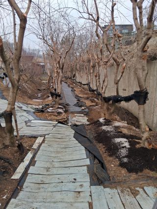 딸기17376님의 기타작물 · 영농일지 작성글 사진