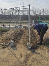 팜모닝 콩·영농일지 게시글 이미지