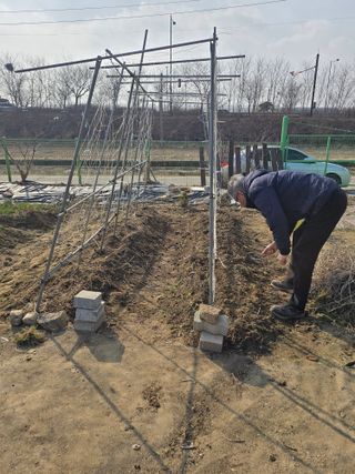 비타민님의 콩 · 영농일지 작성글 사진