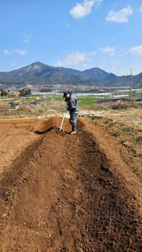 팜모닝 기타작물·영농일지 게시글 이미지