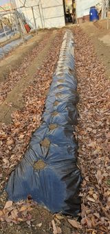 팜모닝 기타작물·영농일지 게시글 이미지