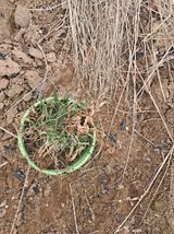 노재영님의 작성글 사진