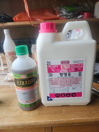 조영민님의 배 · 영농일지 작성글 사진