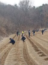 팜모닝 두릅·영농일지 게시글 이미지