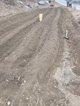 팜모닝 감자·영농일지 게시글 이미지