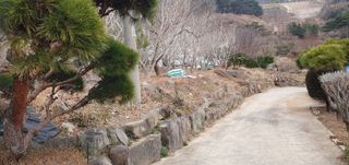 반성식님의 기타작물 · 영농일지 작성글 사진